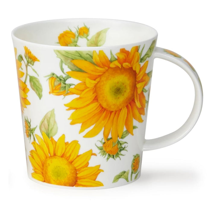 BENMORE KRŪZE 750ML SUNFLOWER