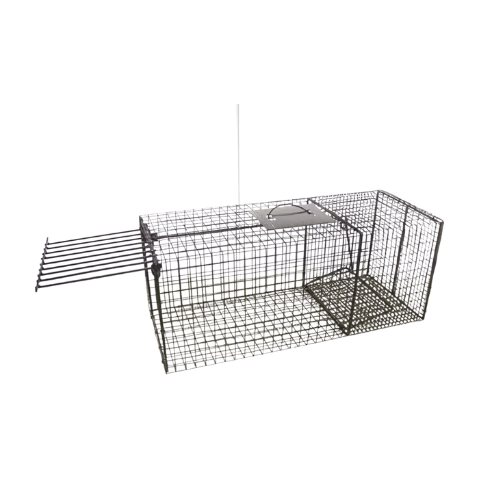 Bobcat Cage Trap - Minnesota Trapline Products