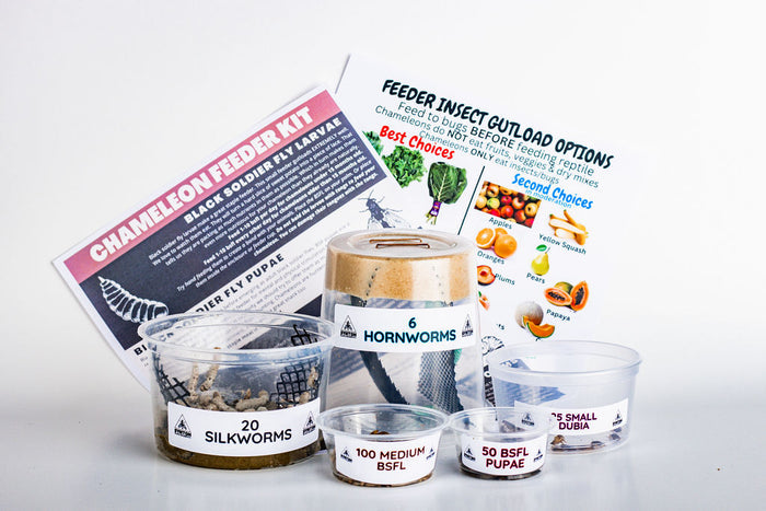 Chameleon Feeder Refill Kit