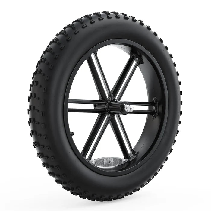 Complete Front Wheel