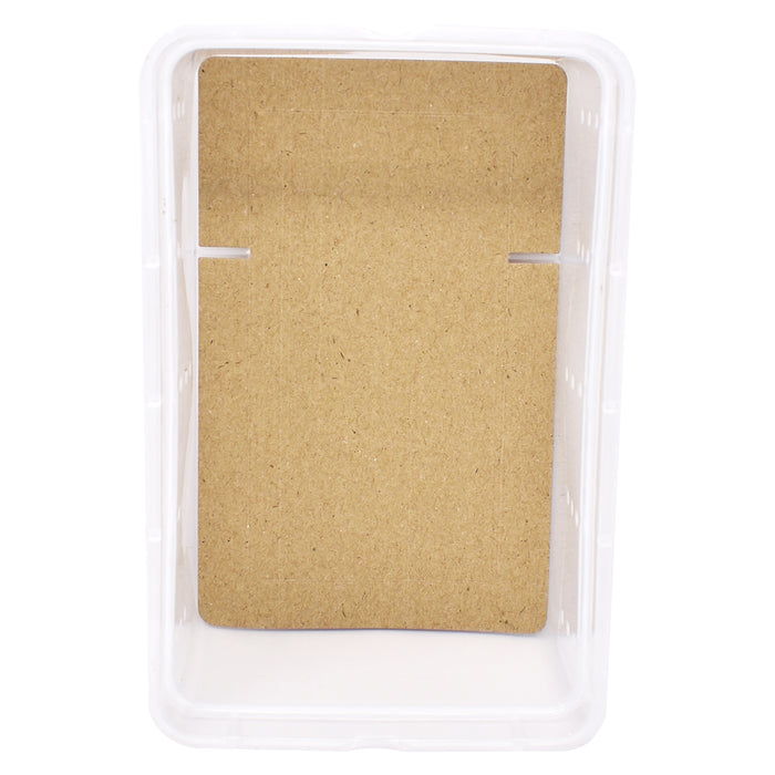 Small paper bedding in small ReptiHome