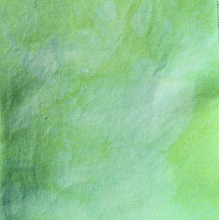 Elphaba