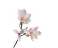 MAGNOLIJA, MĀKSLĪGAIS ZIEDS, ROZĀ, 78CM