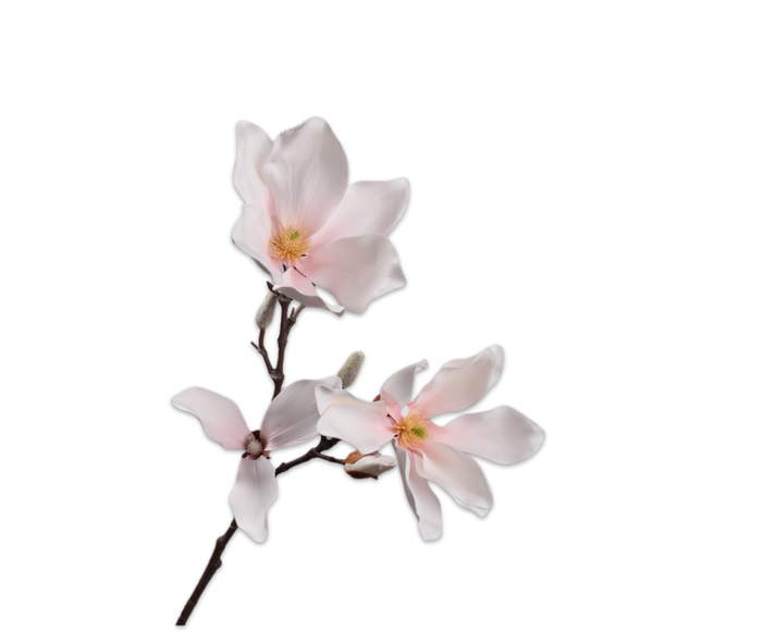 MAGNOLIJA, MĀKSLĪGAIS ZIEDS, ROZĀ, 78CM