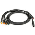 Main Cable