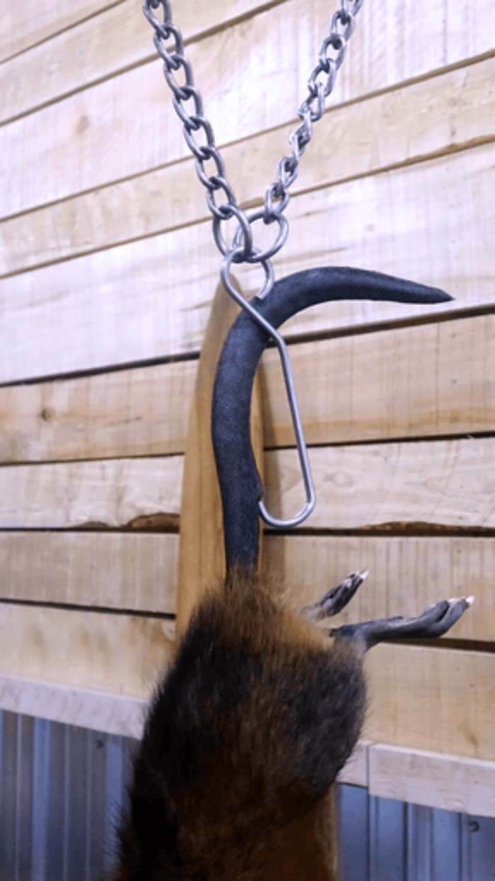 Tail Hook - HAGz