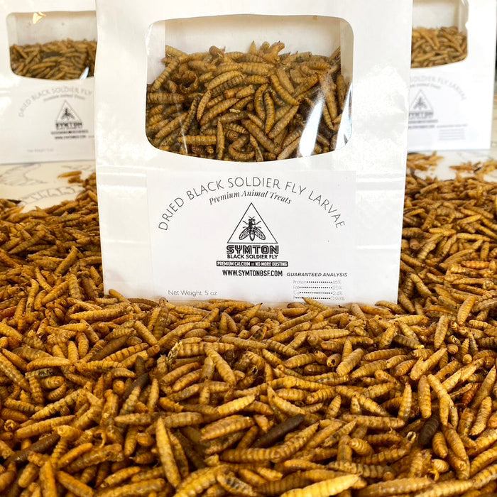 Wholesale Dried Black Soldier Fly Larvae (10 5oz BAGS)