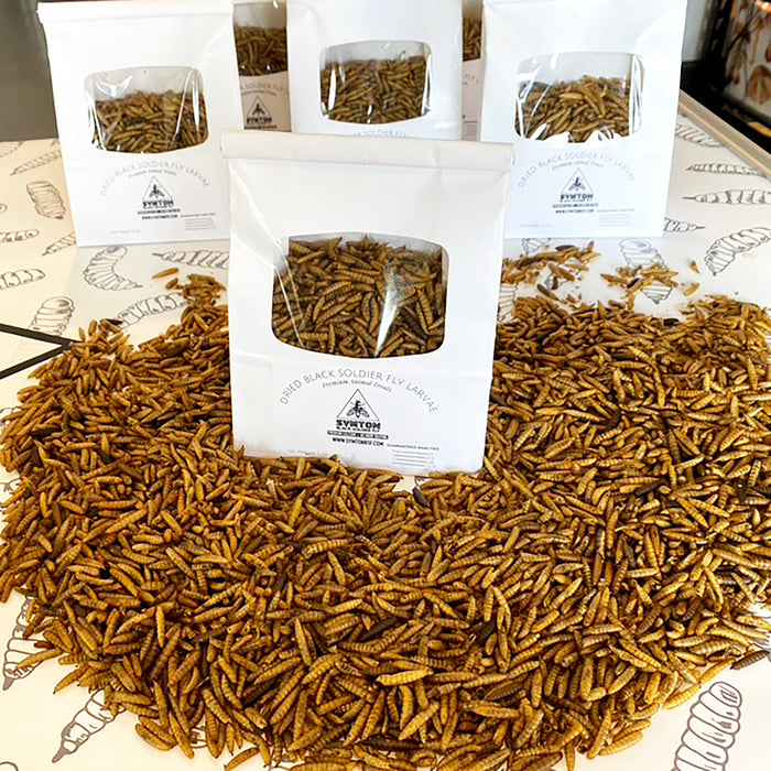 Wholesale Dried Black Soldier Fly Larvae (10 5oz BAGS)